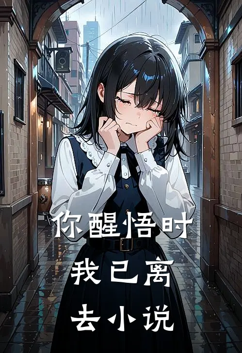 你醒悟时，我已离去小说