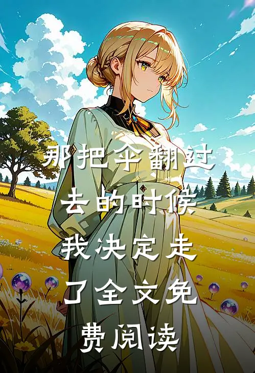 那把伞翻过去的时候，我决定走了全文免费阅读