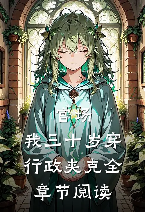 官场：我三十岁穿行政夹克全章节阅读