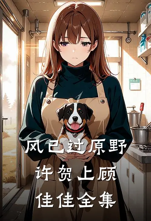 风已过原野许贺上顾佳佳全集