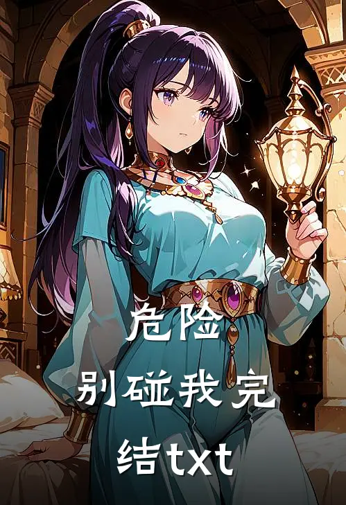 危险，别碰我完结txt