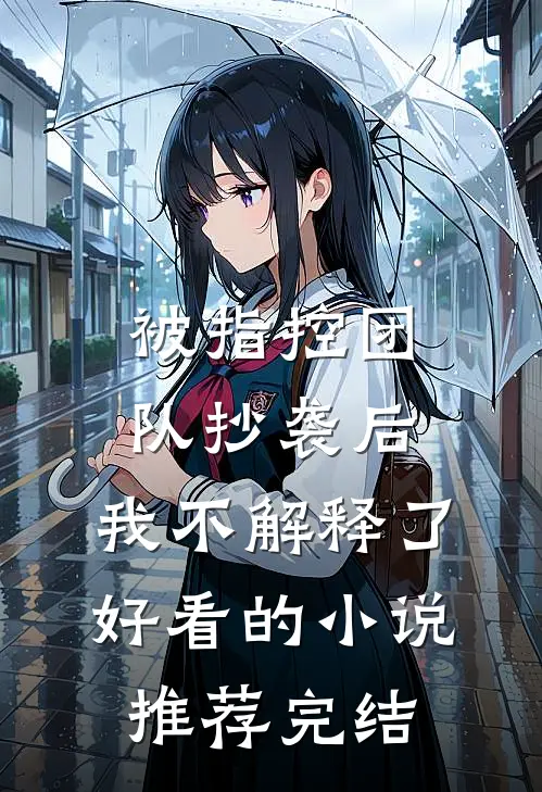 被指控团队抄袭后，我不解释了好看的小说推荐完结