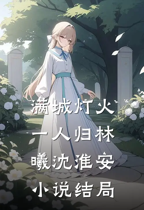 满城灯火一人归林曦沈淮安小说结局