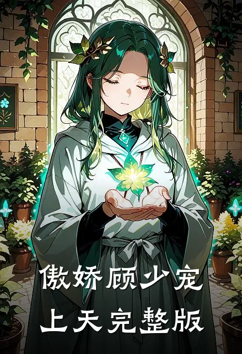 傲娇顾少宠上天完整版