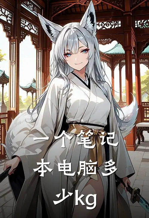 一个笔记本电脑多少kg