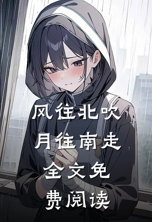 风往北吹月往南走全文免费阅读