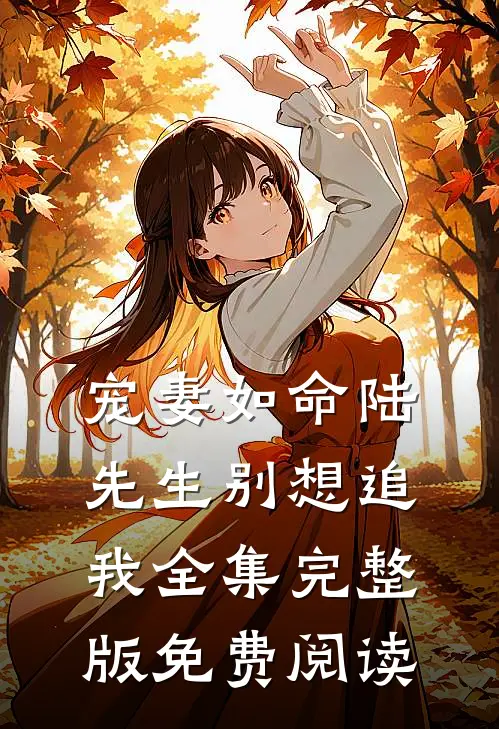 宠妻如命陆先生别想追我全集完整版免费阅读
