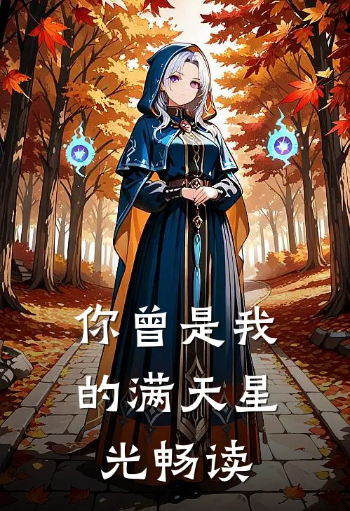 你曾是我的满天星光畅读