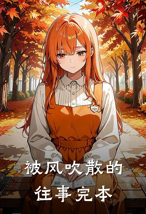 被风吹散的往事完本