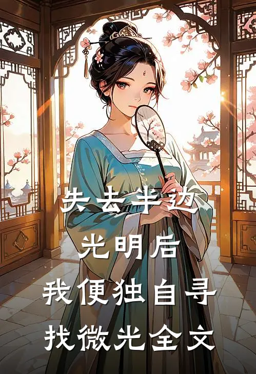 失去半边光明后,我便独自寻找微光全文阅读