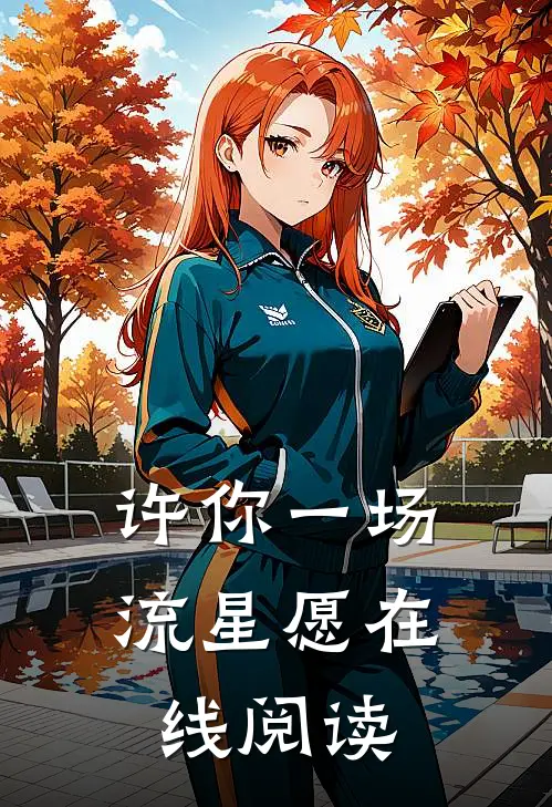 许你一场流星愿在线阅读