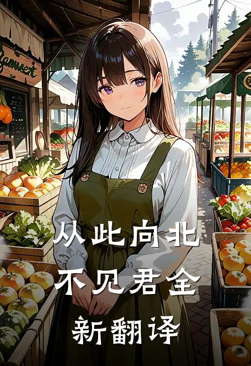 从此向北不见君全新翻译