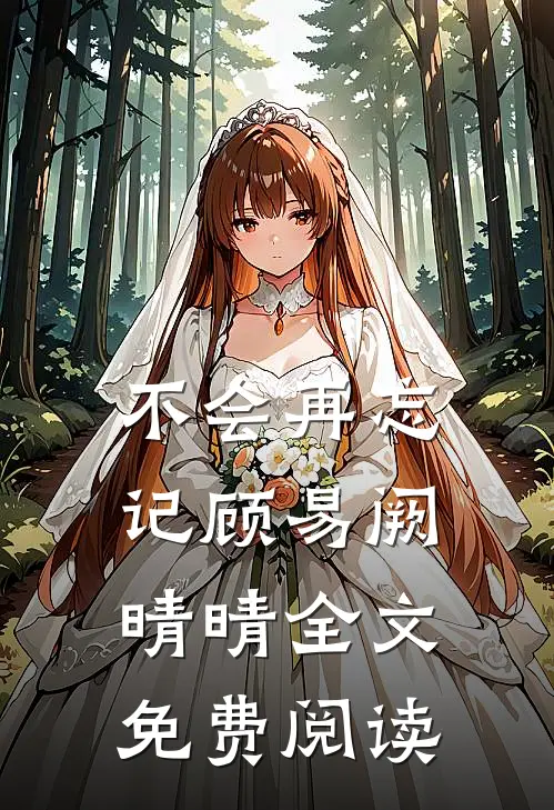 不会再忘记顾易阙晴晴全文免费阅读