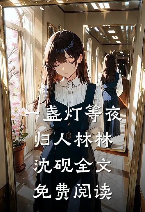 一盏灯等夜归人林林沈砚全文免费阅读