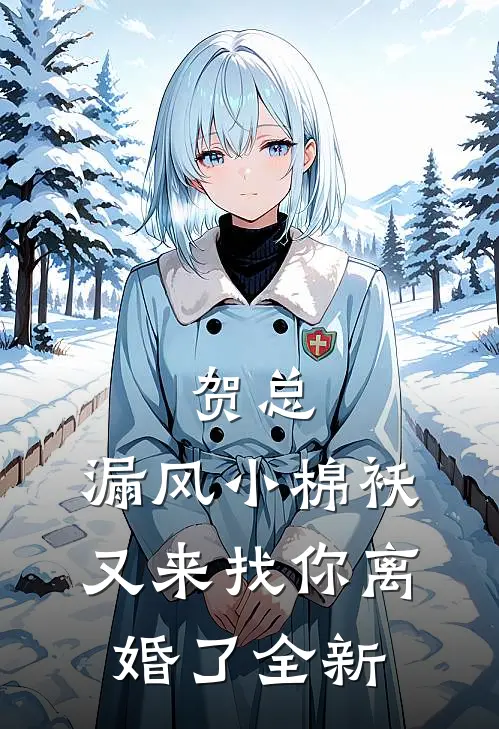 贺总，漏风小棉袄又来找你离婚了全新