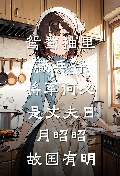鸳鸯袖里藏兵符,将军何必是丈夫日月昭昭,故国有明