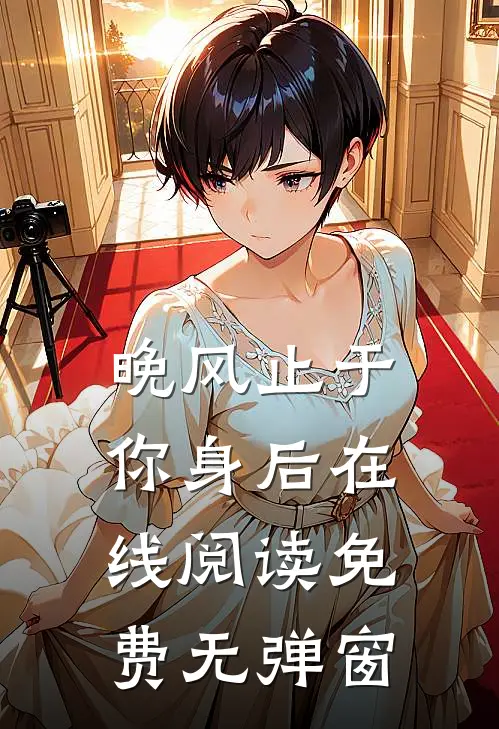 晚风止于你身后在线阅读免费无弹窗