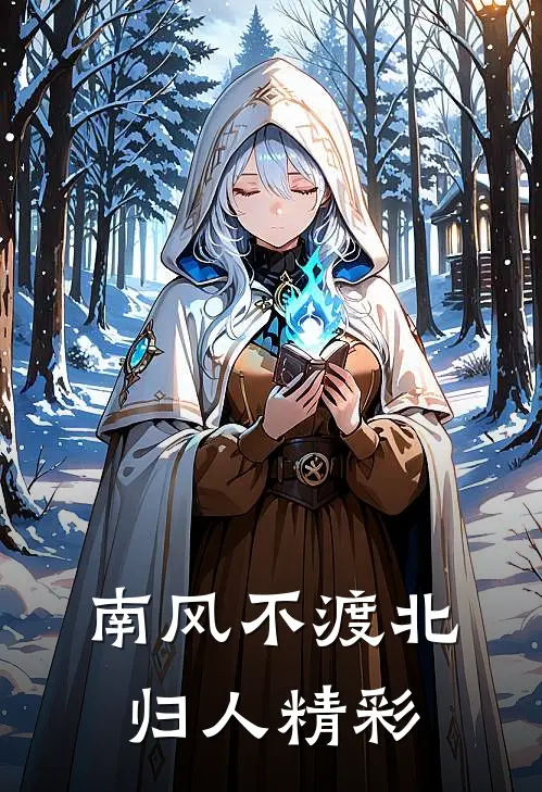 南风不渡北归人精彩