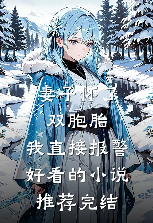 妻子怀了双胞胎，我直接报警好看的小说推荐完结