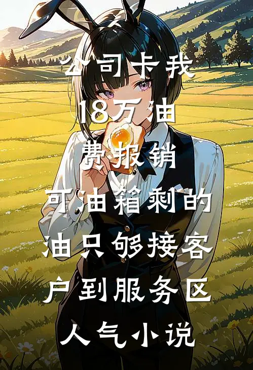 公司卡我18万油费报销，可油箱剩的油只够接客户到服务区人气小说