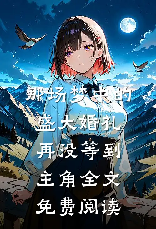 那场梦中的盛大婚礼，再没等到主角全文免费阅读