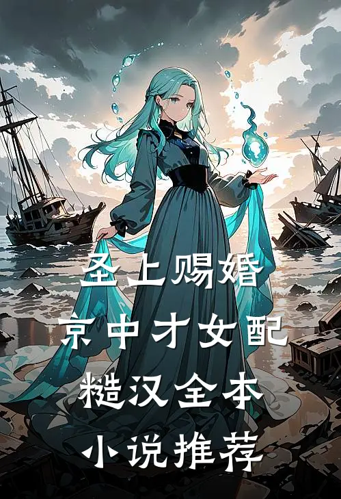 圣上赐婚：京中才女配糙汉全本小说推荐