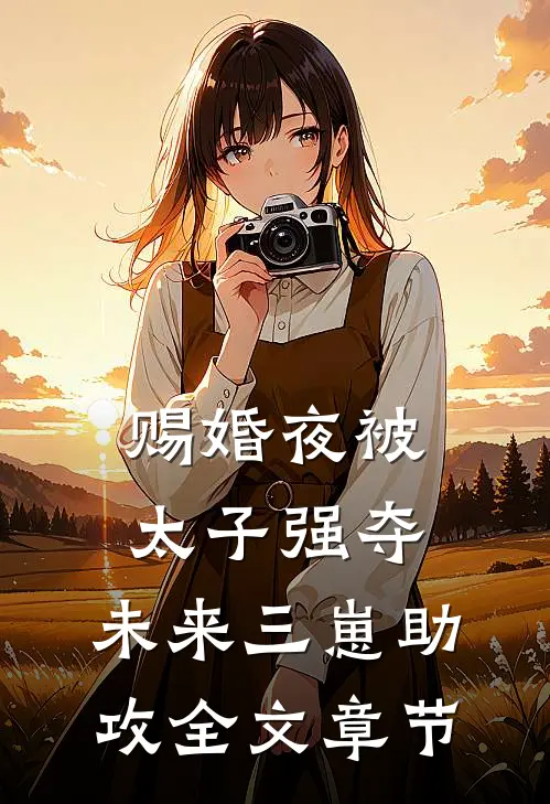 赐婚夜被太子强夺，未来三崽助攻全文章节