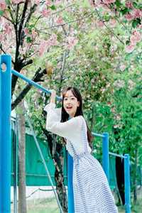 独揽日月入我怀全章节阅读