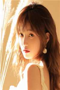 风月归来仍少年全文阅读最新