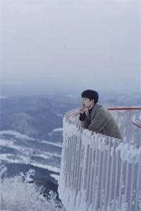 岁暮星沉爱已迟晏清河沈昭然完结文