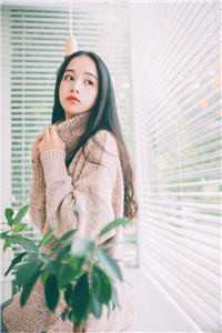 社畜神医暴富指南：从权贵到江湖免费看