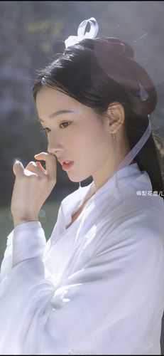 让你边关卖烧饼，你喂出十万大军章节