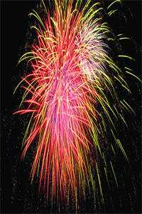 百合染血，祭十年情深精选