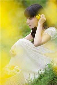 雁过无声秋精选