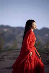 灯火终灭，离人无岸完结版