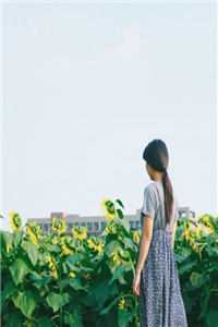 也许爱是无法预料的伤全文阅读最新