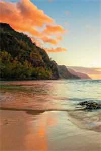 宣布退出女团后，我被迫和没见过的男人联姻了完整阅读