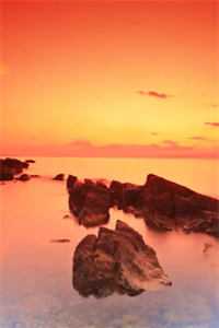 爸妈忘发的生活费已完结版