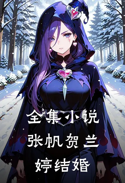 全集小说张帆贺兰婷结婚