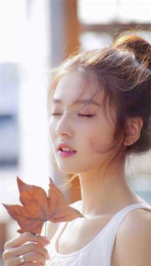 雁过无声秋谢羽曦钟云舟全局