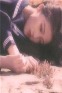 亲手补办老公结婚证后，他悔疯了爽文