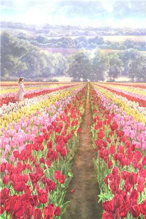 囚泠：偏执强占在线看