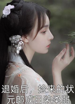 她和往事，散作流星无弹窗