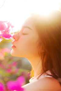 岁寒知不渡结局+番外