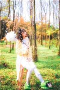 岁岁与枝同小说免费