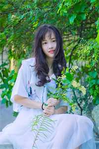 我心也曾逐月华全文免费阅读