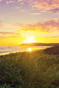 七零穿书穿两本？我选反派当男主已完结