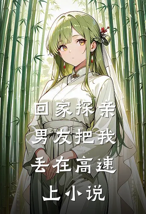 回家探亲,男友把我丢在高速上在线阅读