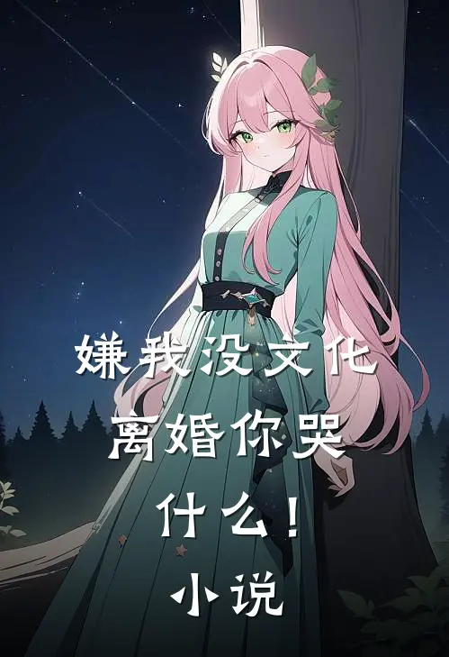 嫌我没文化,离婚你哭!阅读