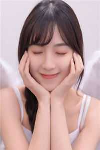 外交翻译官：我的征途是山河无恙的小说